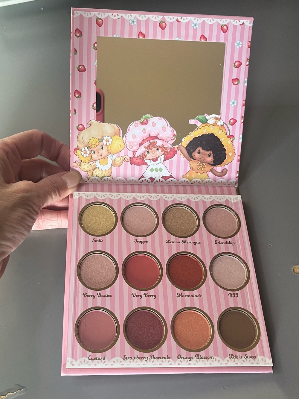Strawberry Shortcake Eyeshadow Palette - 12 Shade Women Makeup- NIB
